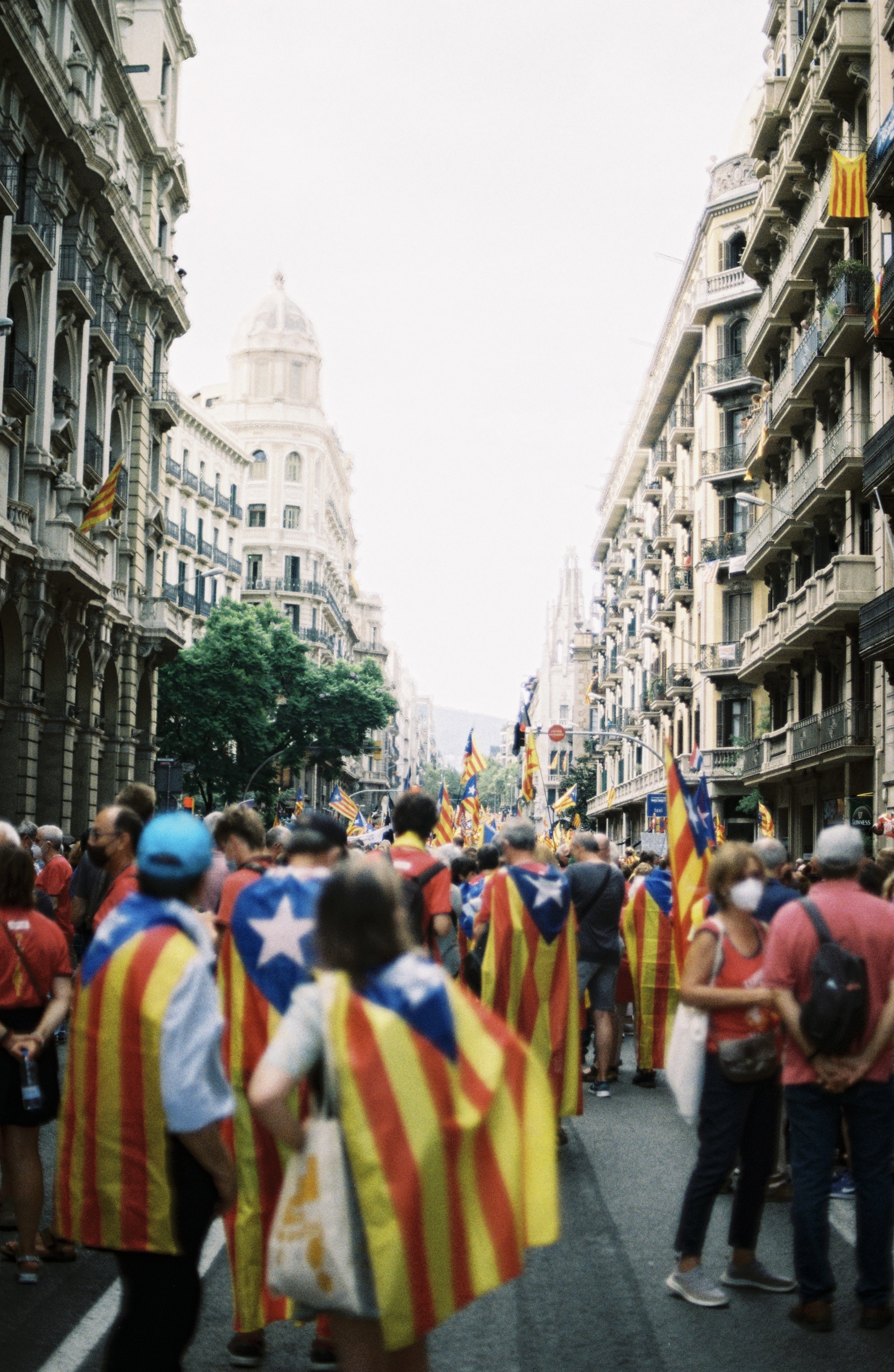 BCN10